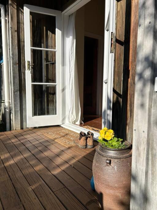 The Studio Apartment Coromandel Bagian luar foto